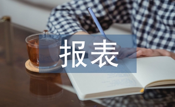 企業(yè)財(cái)務(wù)報(bào)表審計(jì)報(bào)告