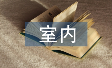 室內(nèi)設(shè)計(jì)方案