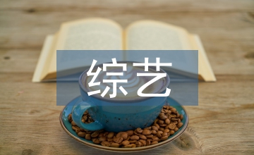 綜藝晚會(huì)編導(dǎo)的藝術(shù)創(chuàng)作