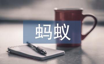 我發(fā)現(xiàn)了螞蟻的秘密